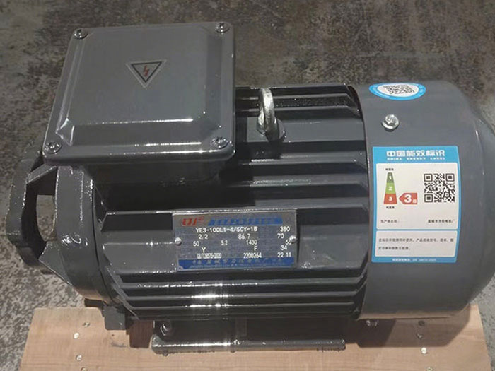 YE3160M-4-11KW泵组